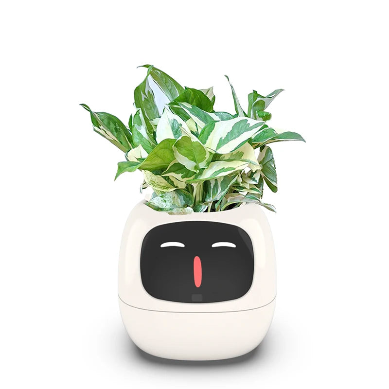 Schicker kleiner Blumentopf