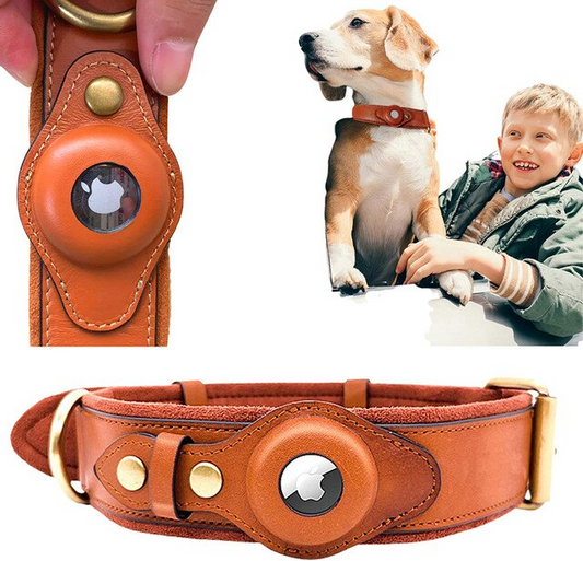 AirTag-Hundehalsband aus Leder