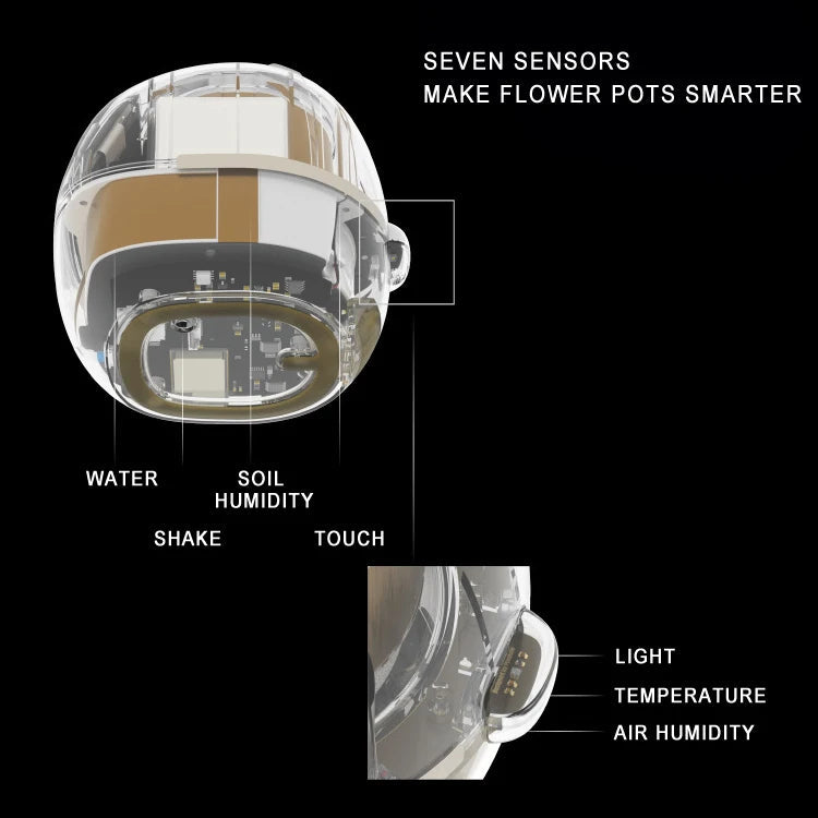 Schicker kleiner Blumentopf