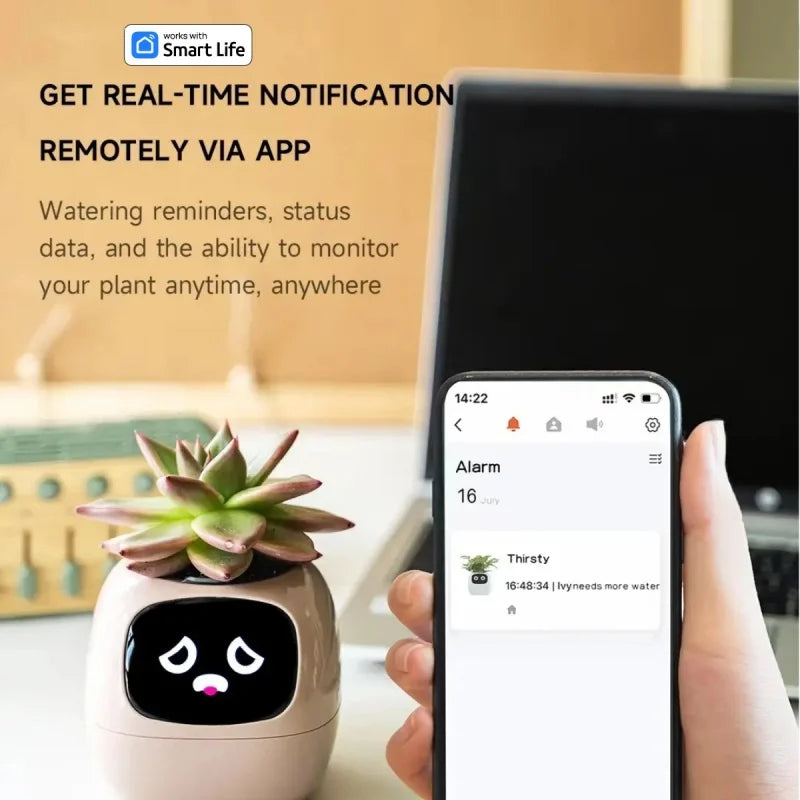 Schicker kleiner Blumentopf