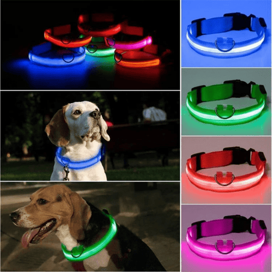 LED Hundhalsband