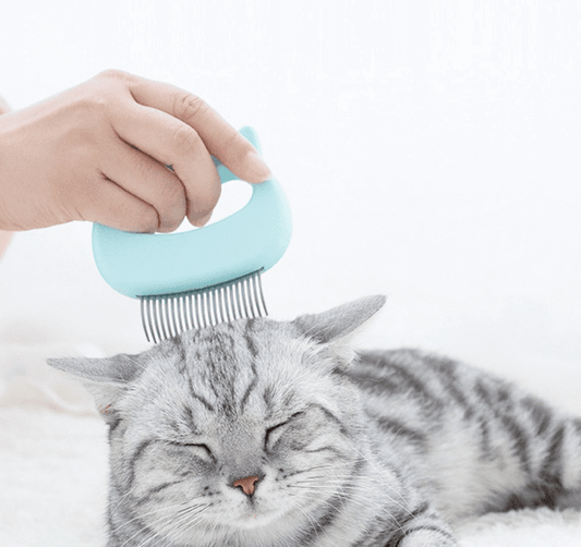 Massagekam för katter