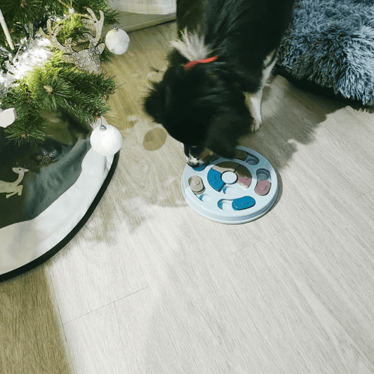 MatPusslet - För Bättre Matsmältning