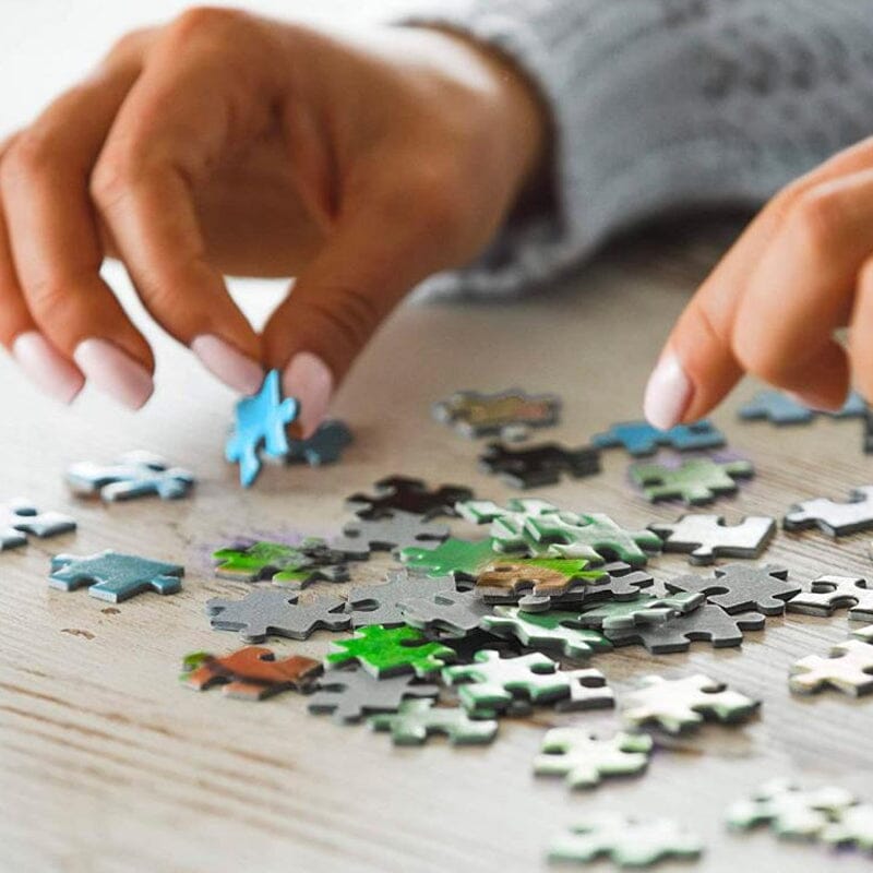 101 bajsande valpar pussel (1000 bitar)