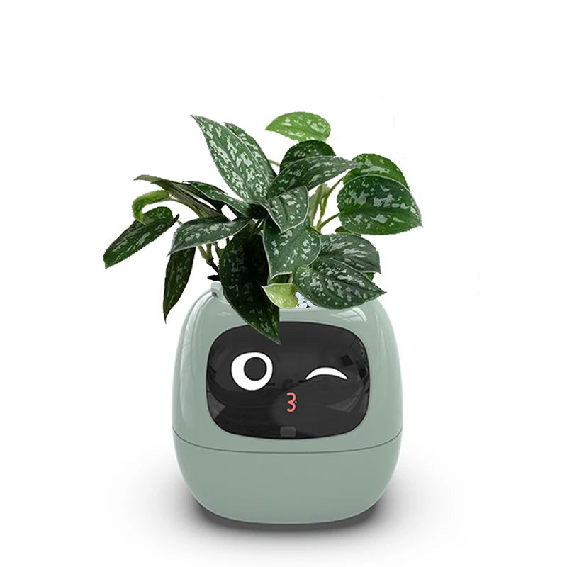 Schicker kleiner Blumentopf