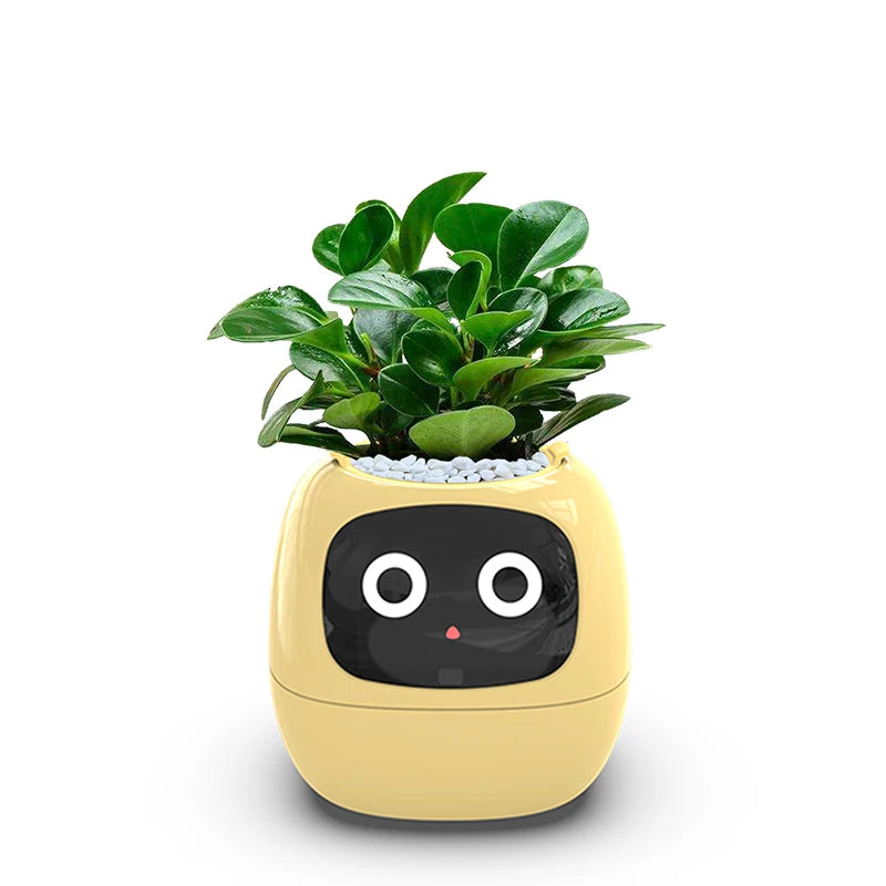 Schicker kleiner Blumentopf
