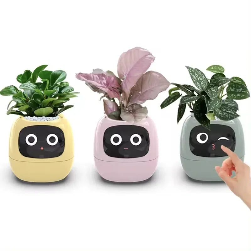 Schicker kleiner Blumentopf