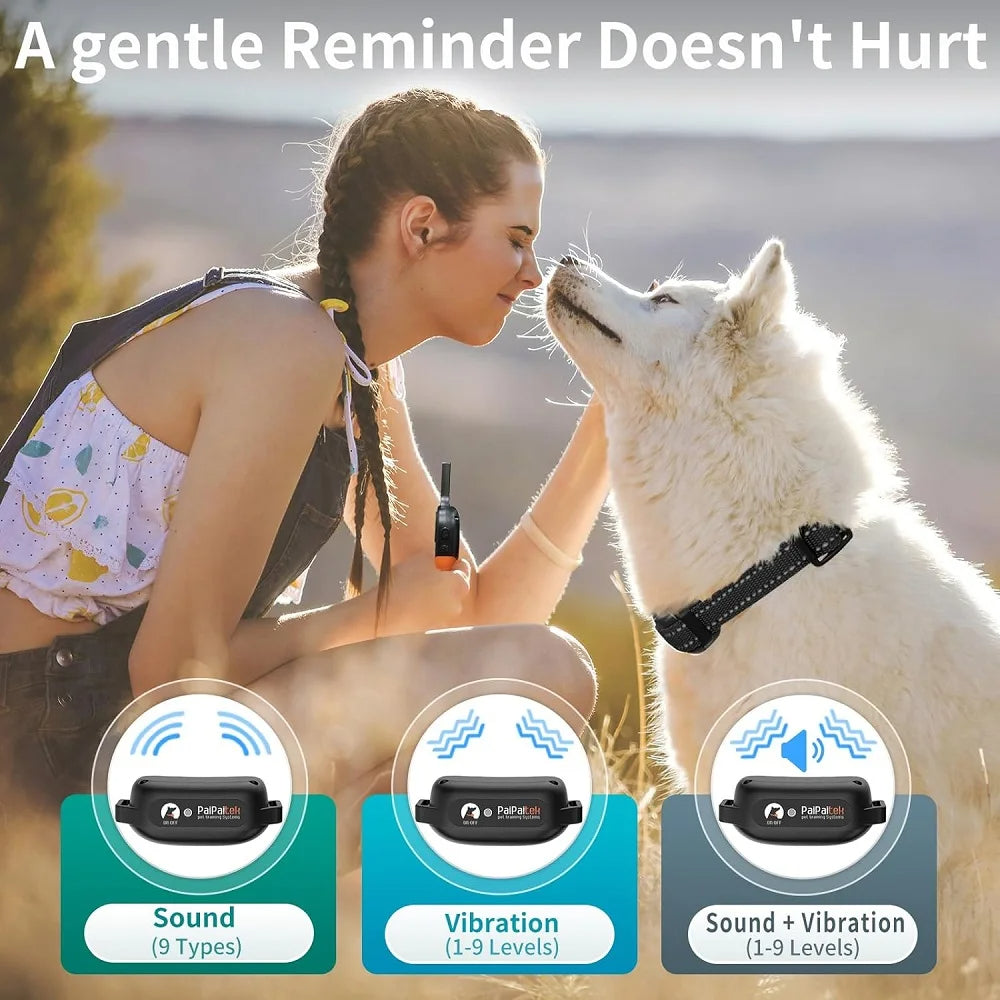 Hundetrainingshalsband