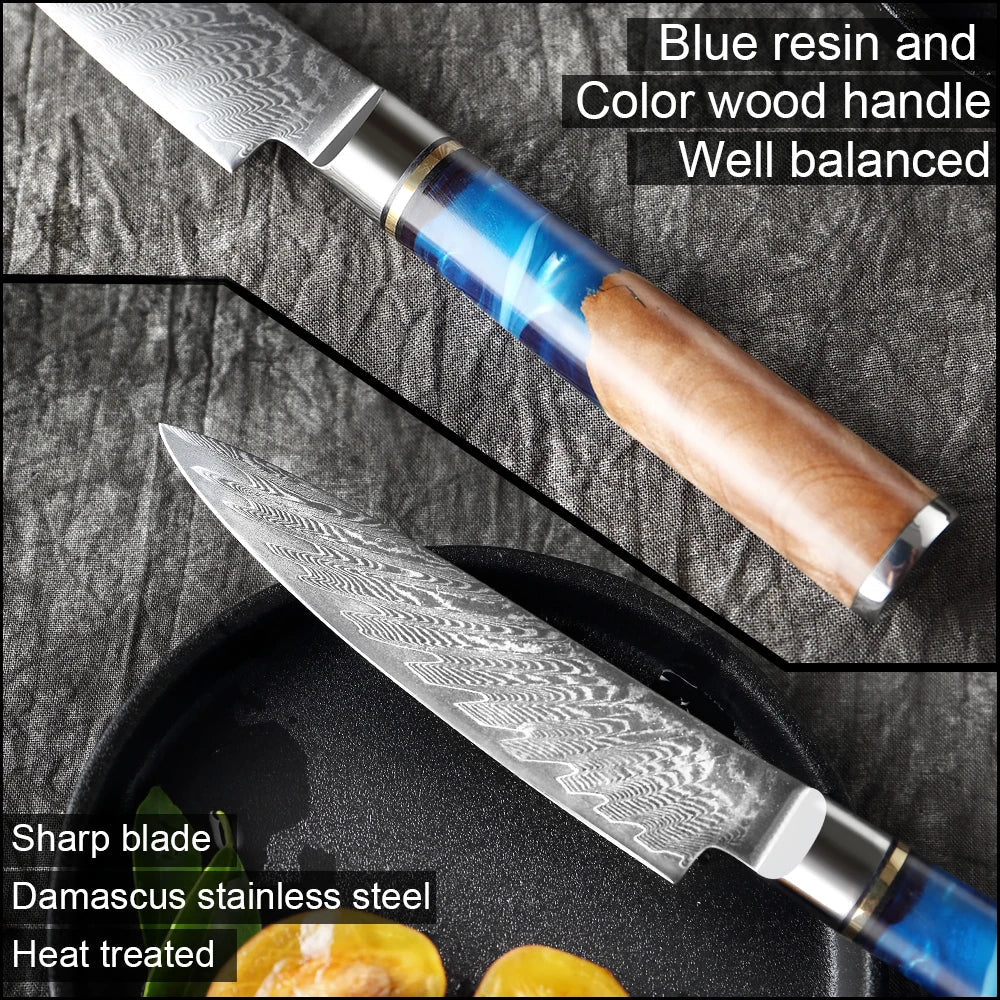 5 Zoll kleines Küchenmesser VG10 Damaststahl