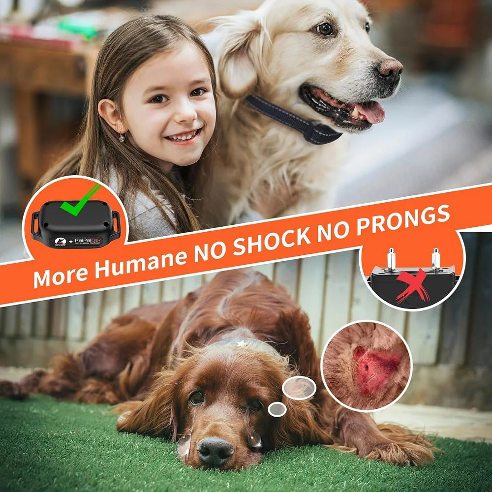 Hundetrainingshalsband