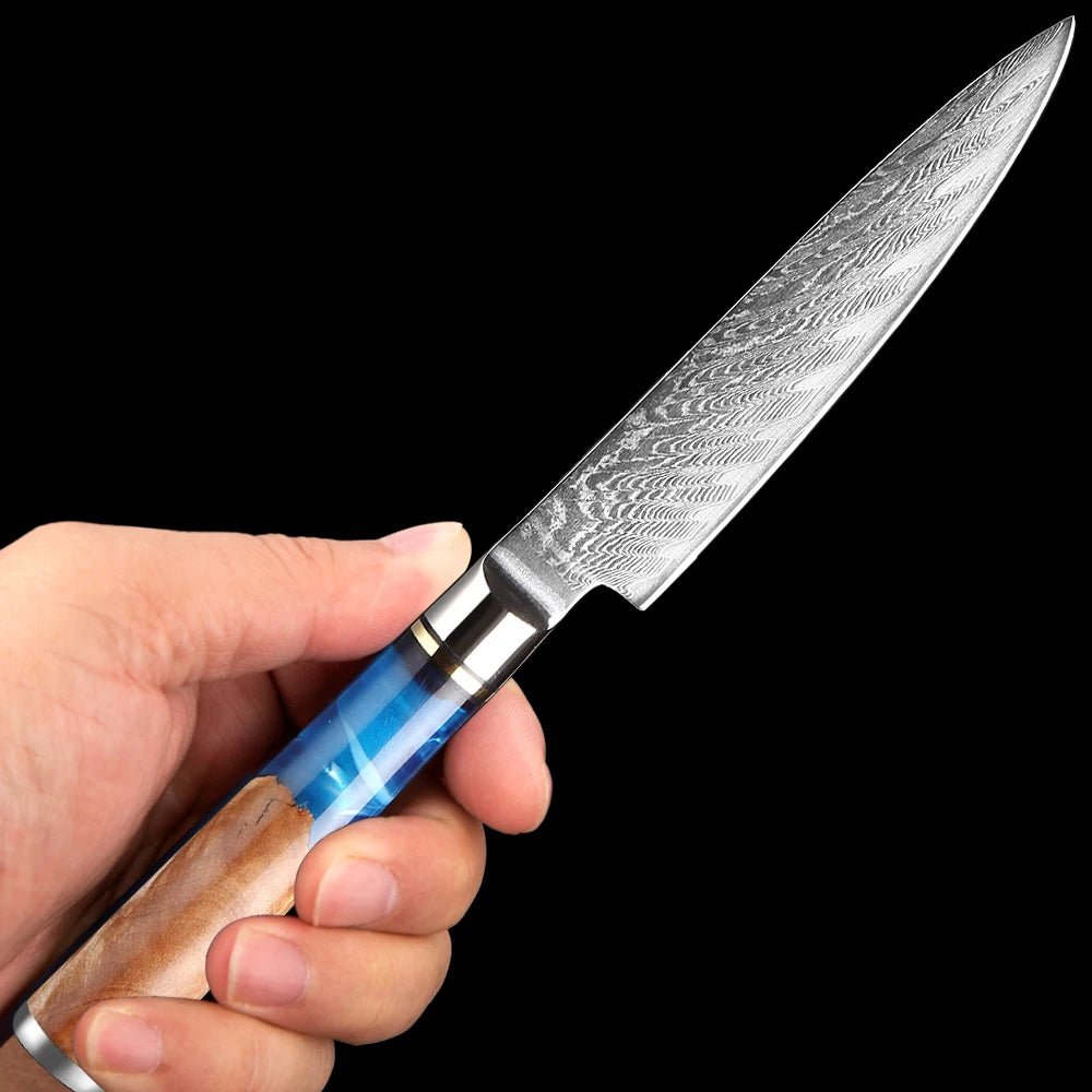 5 Zoll kleines Küchenmesser VG10 Damaststahl
