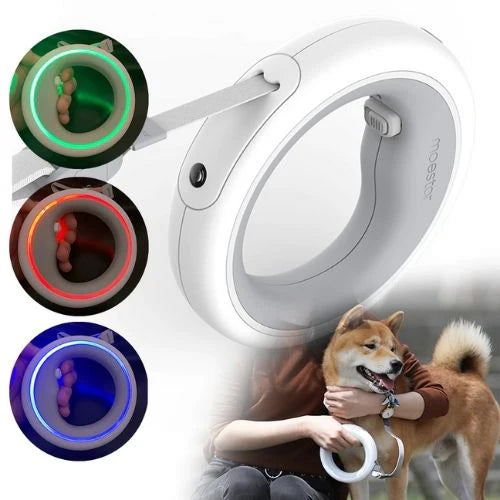 Hundeleinenring LED