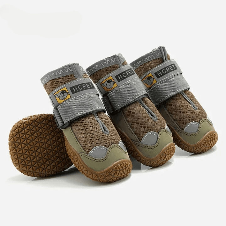 Andningsbara Hundskor för Sommaren – Skydda Tassarna