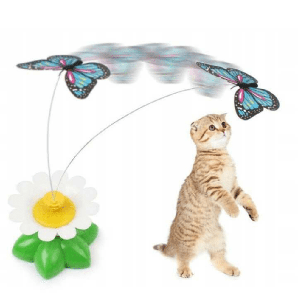 Butterfly Cat Teaser™ – Hands-Free Kattleksak för Timvis Underhållning