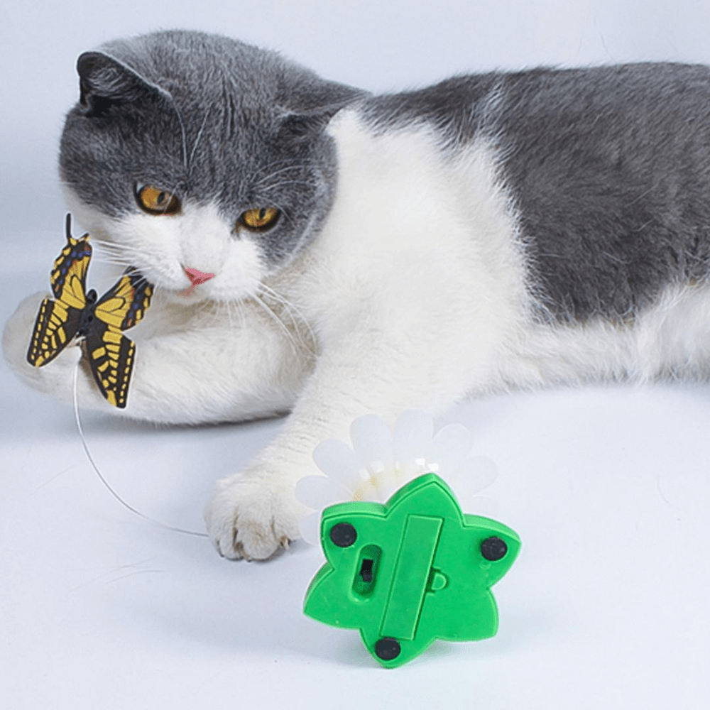 Butterfly Cat Teaser™ – Hands-Free Kattleksak för Timvis Underhållning