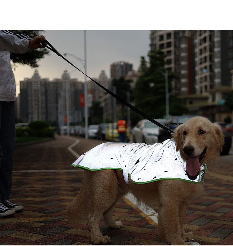 Heltäckande Reflextäckte till Hund