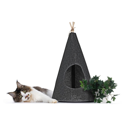 Katt tipitält av filt