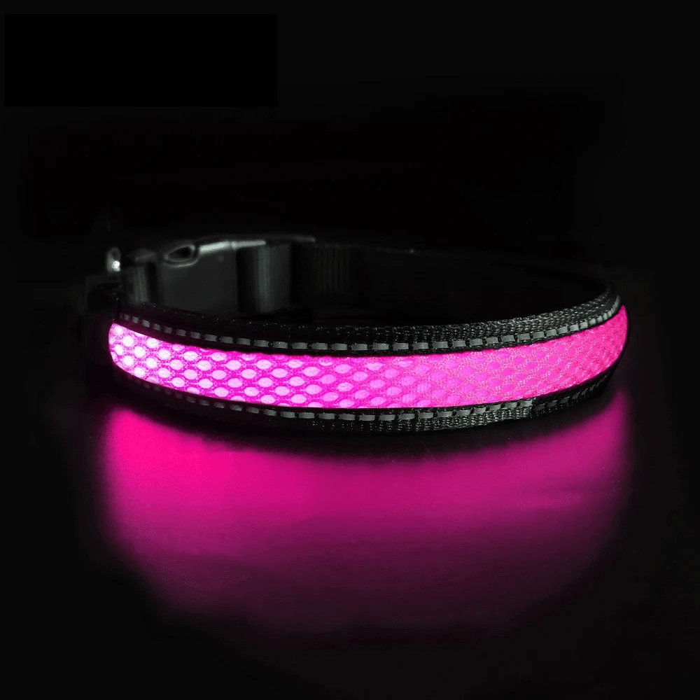 LED Säkerhetshalsband Hund – Synlig i Mörker & Regn