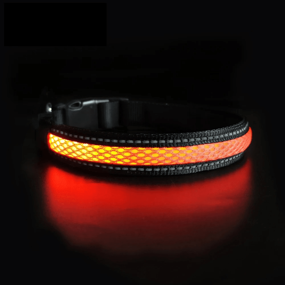 LED Säkerhetshalsband Hund – Synlig i Mörker & Regn