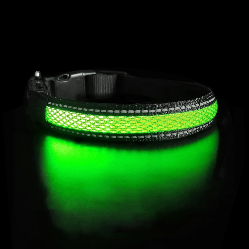 LED Säkerhetshalsband Hund – Synlig i Mörker & Regn