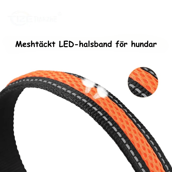 LED Säkerhetshalsband Hund – Synlig i Mörker & Regn