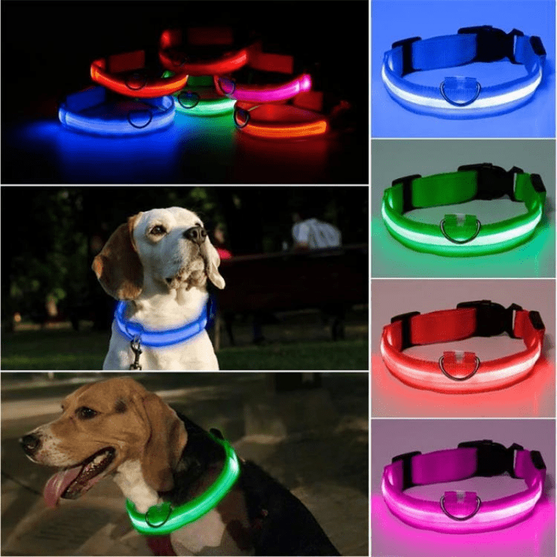 LED Hundhalsband