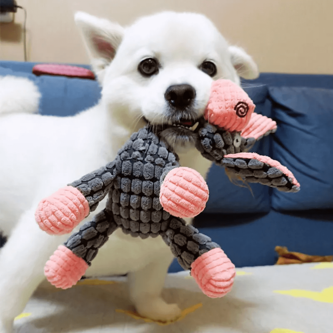 Hållbar leksaksdjur för hund