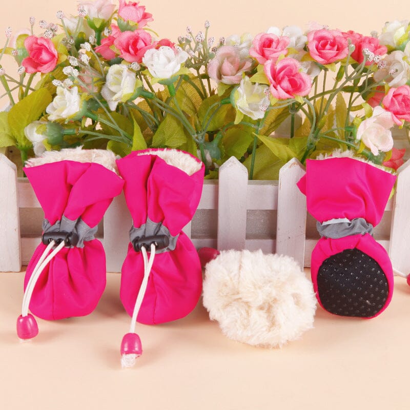 Reflektiva vadderade hundskor (4 skor)