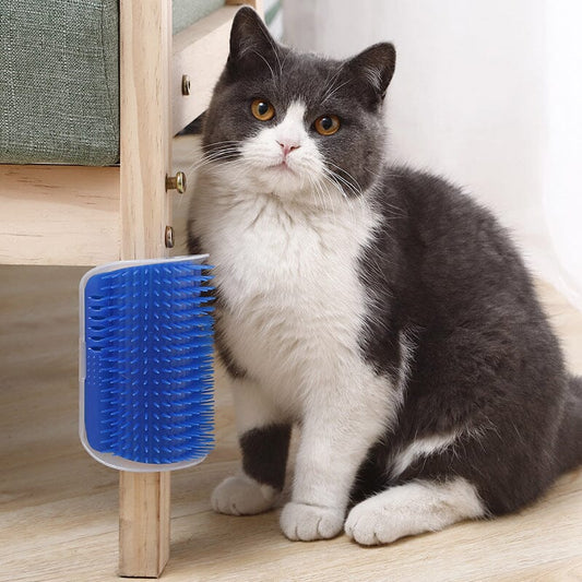 Självvårdsborste För Katt: Det Perfekta Massageverktyget