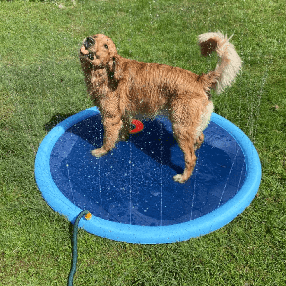 Splashpoolen - Pool med fontän