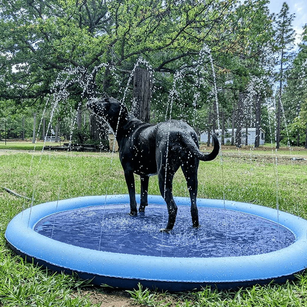 Splashpoolen - Pool med fontän