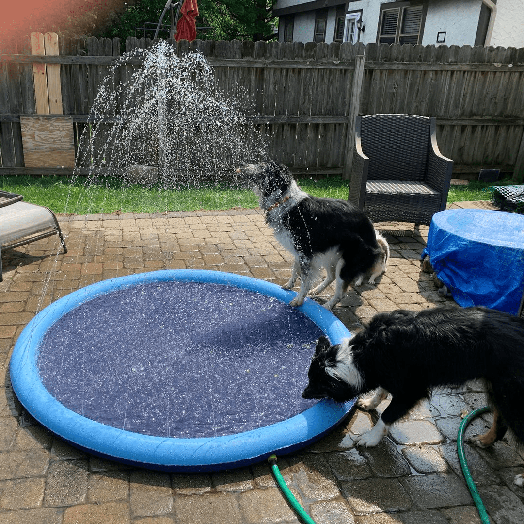 Splashpoolen - Pool med fontän